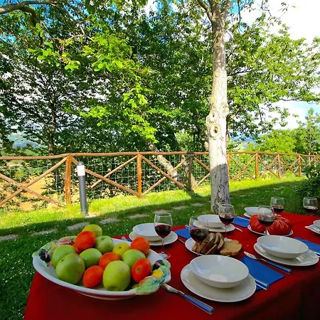 Tranquil Farmhouse In With Swimming Pool Дом отдыха *